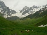 Kazbegi Georgia Map Juta Valley Aktuelle 2019 Lohnt Es Sich Mit Fotos