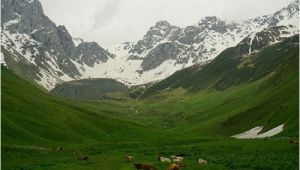 Kazbegi Georgia Map Juta Valley Aktuelle 2019 Lohnt Es Sich Mit Fotos