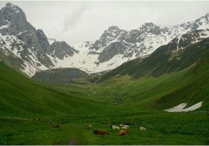 Kazbegi Georgia Map Juta Valley Aktuelle 2019 Lohnt Es Sich Mit Fotos