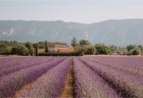 Lavender Fields France Map south Of France Provence Guide Find Us Lost