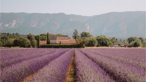 Lavender Fields France Map south Of France Provence Guide Find Us Lost