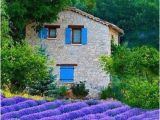 Lavender Fields France Map Telephoto Lenses Up Close and Personal France Lavender