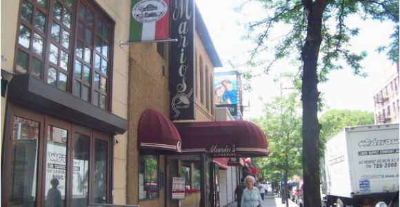 Little Italy Bronx Map the top 10 Things to Do Near Bronx Zoo Tripadvisor