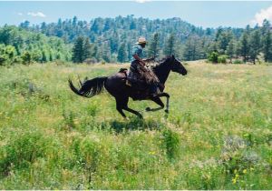 Livermore Colorado Map Cherokee Park Ranch Reviews Livermore Co Tripadvisor