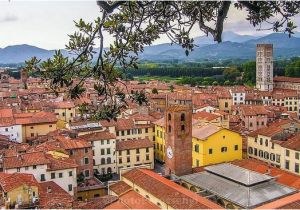 Lucca Italy Map Google Die top 10 Sightseeing touren In Lucca Tripadvisor