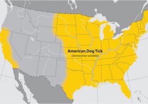 Lyme Disease In Michigan Map Ticks Ticks Cdc