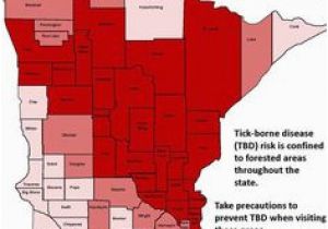 Lyme Disease Minnesota Map 34 Best Lyme Disease Maps and Charts Images Lyme Disease Maps