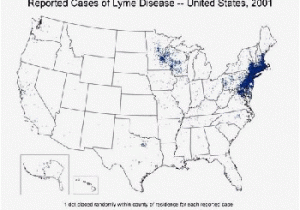 Lyme Disease Minnesota Map Lyme Disease is Spreading Faster Than Ever and Humans are Partly to