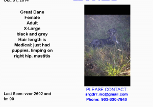 Mabank Texas Map Lost Dog Great Dane Mabank Tx United States Save Rocky the