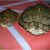 Male Texas Map Turtle for Sale Texas Map Turtle Care Business Ideas 2013