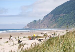 Manzanita oregon Map the 10 Best Restaurants In Manzanita Updated April 2019 Tripadvisor