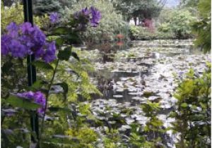 Map Giverny France Le Jardin Des Nympheas Picture Of Giverny Eure Tripadvisor