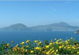 Map ischia Italy ischia Wikipedia