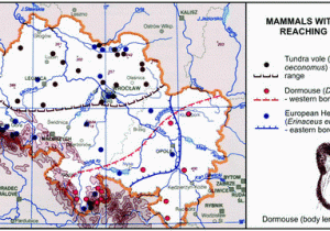 Map Mansfield Ohio Map Grant Beautiful Elements Of Map Contents with 0d Point Reference