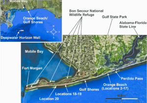 Map Of Alabama Beaches Alabama S Main Gulf Facing Sandy Beach Shoreline and Sampling
