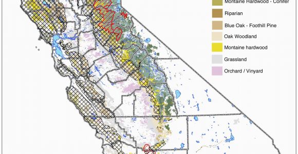 Map Of Aliso Viejo California Map Of Aliso Viejo California Massivegroove Com