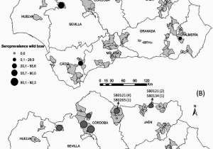 Map Of andalucia southern Spain Map Showing the Location Of andalusia southern Spain and the