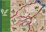 Map Of Arizona Showing Prescott Riparian Habitats Of Prescott Arizona Map Prescott Creeks