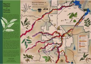 Map Of Arizona Showing Prescott Riparian Habitats Of Prescott Arizona Map Prescott Creeks
