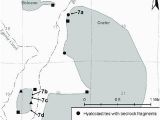 Map Of Basalt Colorado Pdf Emplacement Of Pleistocene Basalt Flows Near Mccoy Colorado