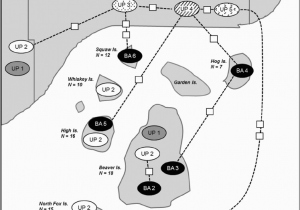 Map Of Beaver island Michigan Conceptual Map Of Beaver island Archipelago Showing Distribution