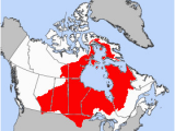 Map Of Canada Hudson Bay List Of Hudson Bay Rivers Revolvy