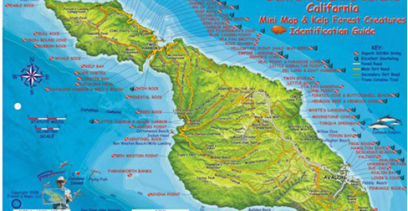 Map Of Catalina island California Franko Maps Santa Catalina island Fish Id Card