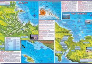 Map Of Catalina island California Santa Catalina island California Adventure Dive Guide Franko Maps