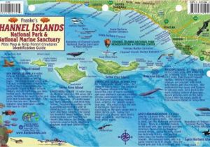 Map Of Channel islands California California Fish Card Channel islands 2011 by Frankos Maps Ltd