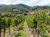 Map Of Chianti Region Italy Chianti Italy Travel Guide to Chianti Wine Region In Tuscany Italy