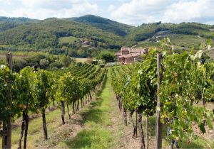 Map Of Chianti Region Italy Chianti Italy Travel Guide to Chianti Wine Region In Tuscany Italy