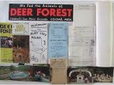 Map Of Coloma Michigan Vtg Coloma Mi Travel Brochures Map Deer forest Postcards Paw Paw