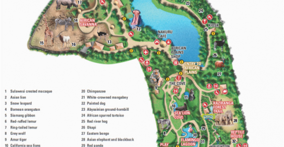 Map Of Dublin California Map Of Dublin Zoo Celtica In 2019 Pinterest Dublin Zoo Map