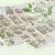Map Of Eastern Michigan University Campus Campus Maps