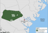 Map Of fort Stewart Georgia fort Stewart Hunter Airfield Hinesville Ga