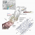 Map Of Frederick Colorado Maps Of the Slumgullion Landslide A Projected View Of the Active