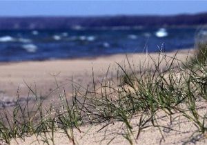 Map Of Lake Michigan Beaches Lake Huron Left Out In Great Lakes Beach Cleanup