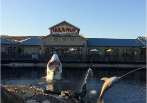 Map Of Little Elm Texas Hula Hut Viewed From Lake Lewisville Side Picture Of Hula Hut