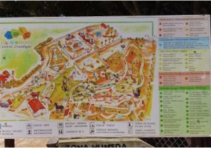 Map Of Menorca Spain Zoo Map Picture Of Lloc De Minorca Menorca Tripadvisor