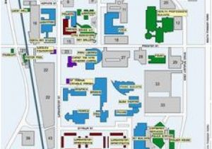 Map Of Michigan State University 28 Best tourcmu Images Central Michigan University Articles