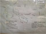 Map Of Nacogdoches Texas Trail Map Picture Of Sfa Interpretive Trail Nacogdoches Tripadvisor