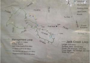 Map Of Nacogdoches Texas Trail Map Picture Of Sfa Interpretive Trail Nacogdoches Tripadvisor