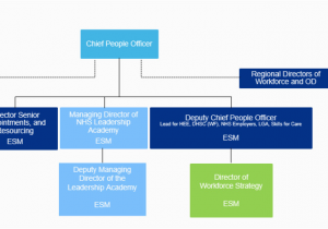 Map Of Nhs Trusts In England Full Details New Nhs England and Improvement Structure News