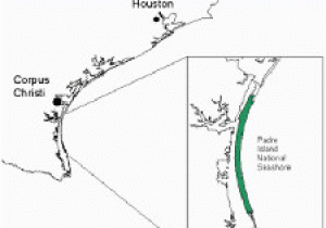 Map Of north Padre island Texas Maps Padre island National Seashore U S National Park Service