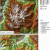 Map Of Picos De Europa Spain Location Of Moraine Landforms A Picos De Europa Cantral