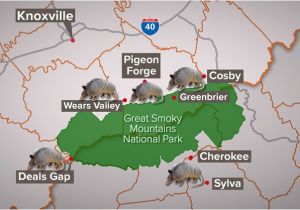 Map Of Pigeon forge Tennessee Armadillos Spread In East Tn Surround Smokies Wbir Com