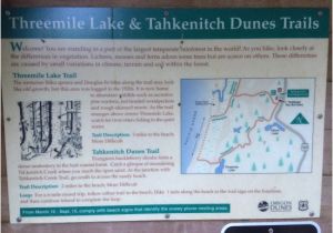Map Of Reedsport oregon Die Infotafel Am Parkplatz Picture Of Tahkenitch Creek Loop Trail