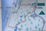 Map Of Reedsport oregon Die Routenbeschreibung Picture Of Tahkenitch Creek Loop Trail