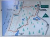 Map Of Reedsport oregon Die Routenbeschreibung Picture Of Tahkenitch Creek Loop Trail