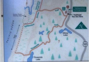 Map Of Reedsport oregon Die Routenbeschreibung Picture Of Tahkenitch Creek Loop Trail